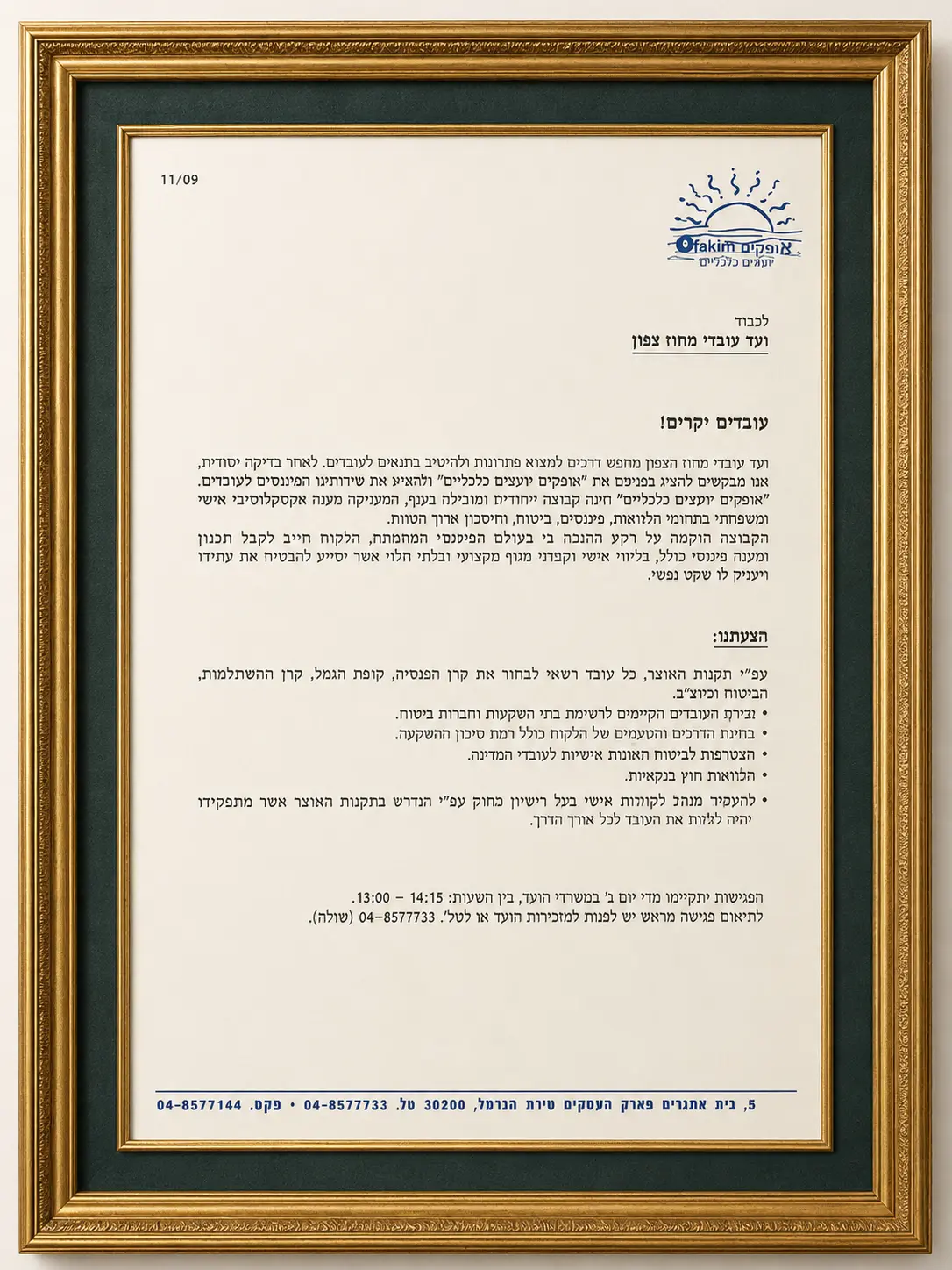 הצגת שירותים פיננסיים לוועד עובדי מחוז צפון — אופקים יועצים כלכליים, 2009